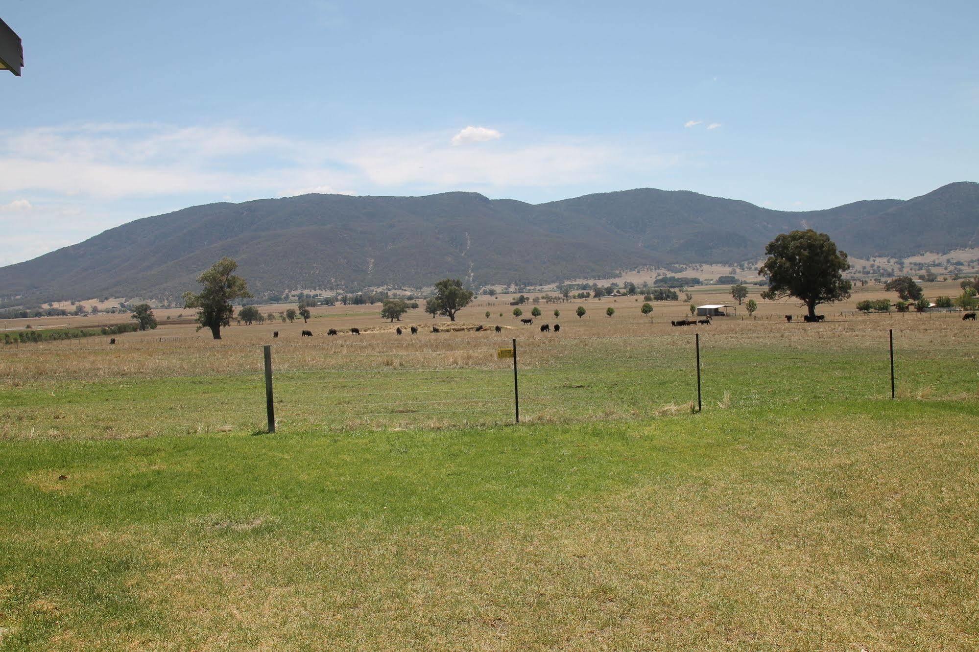 Mountain View Motel Corryong Exterior foto